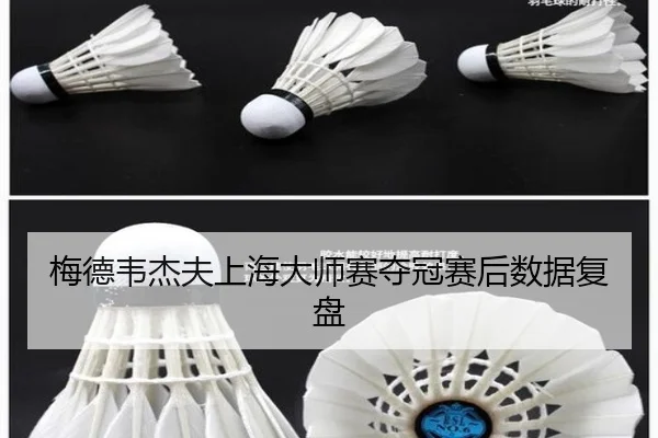 梅德韦杰夫上海大师赛夺冠赛后数据复盘